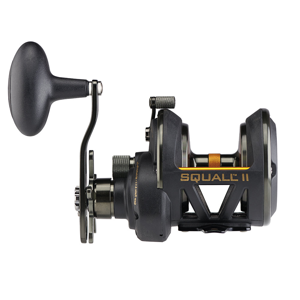 PENN Squall II Star Drag Conventional Reel - SQLII25NSD [1522169]